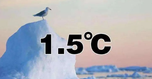 國際能源署執(zhí)行干事：清潔能源發(fā)展有效減緩全球碳排放增幅！